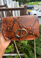 Snakeskin Purse