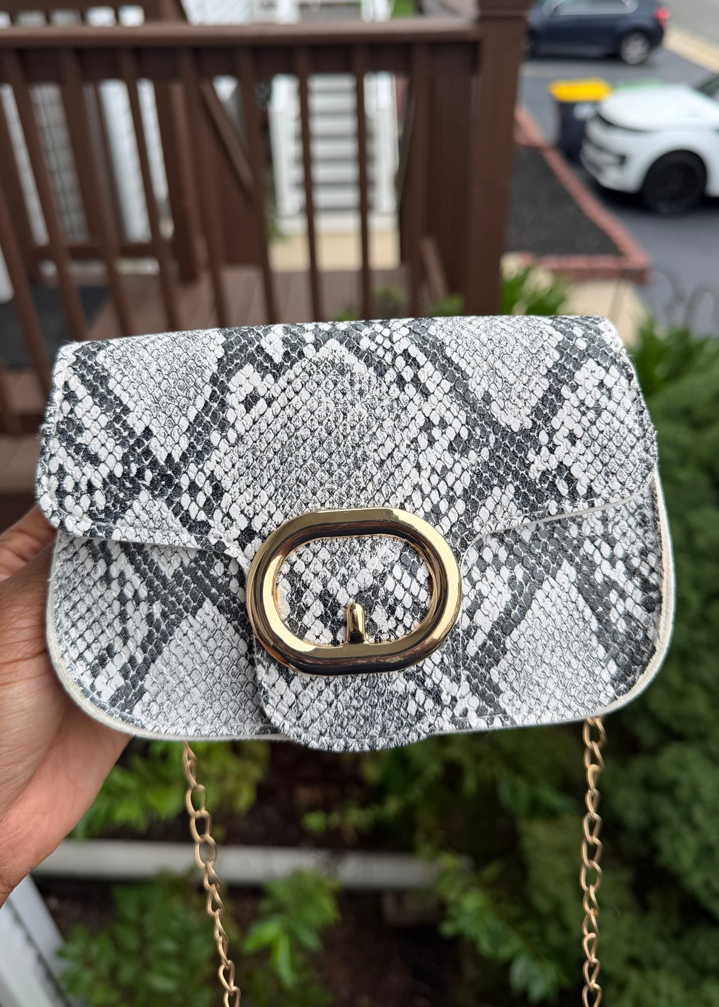 Snakeskin Purse