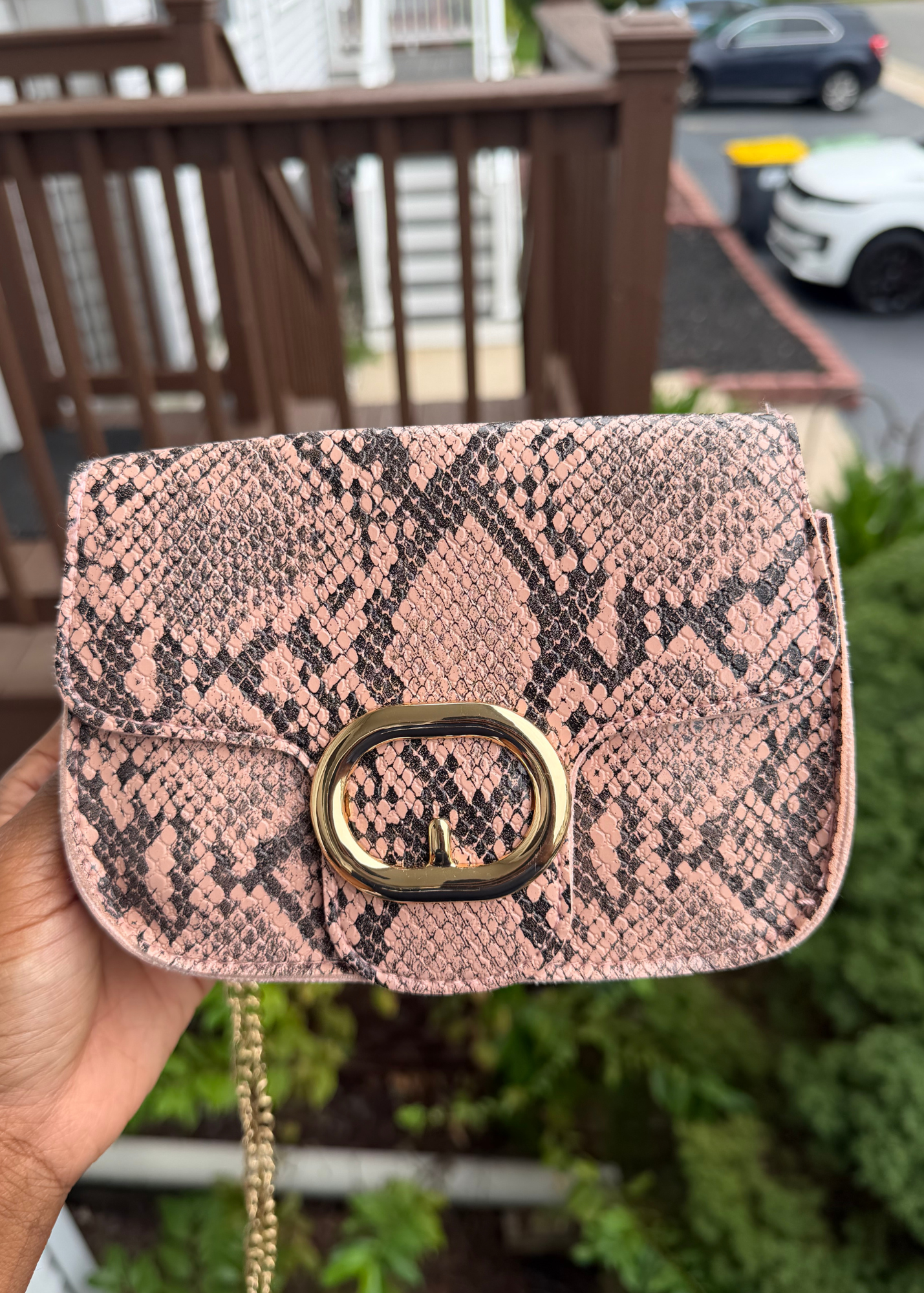 Snakeskin Purse